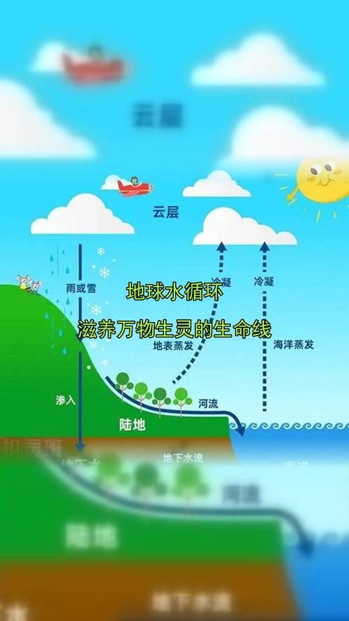 水为植物提供了什么:从细胞到光合作用的生命之源 五、参与生化反应和代谢调节