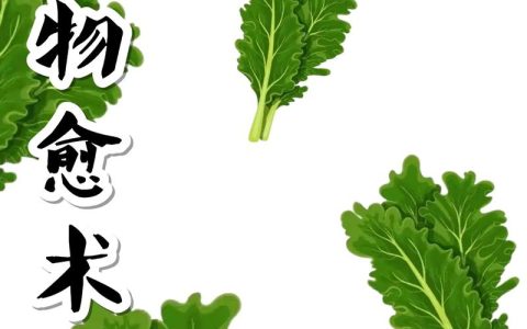 羽衣甘蓝有什么作用？营养与药用价值全解析