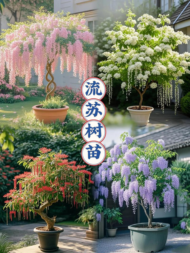 北方家庭院子里适合栽什么树?耐寒、美观、易养护的优选指南 北方南北种植差异化建议(针对秦岭-淮河以北)