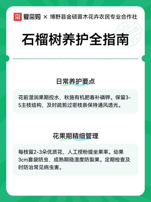 院子里可以种石榴树吗?科学分析与养护指南 七、结论:院子里适合种石榴树吗?