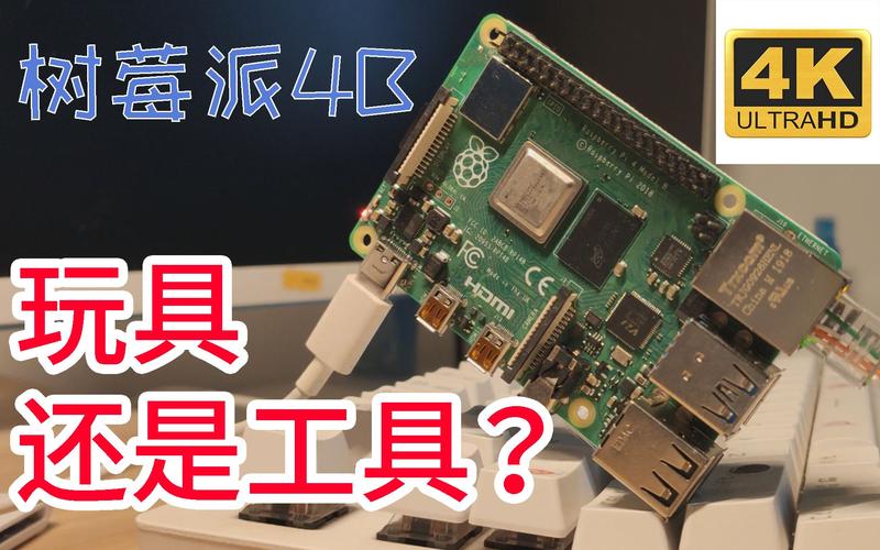 树莓派多少钱?2024年树莓苗价格参考 物流配送成本