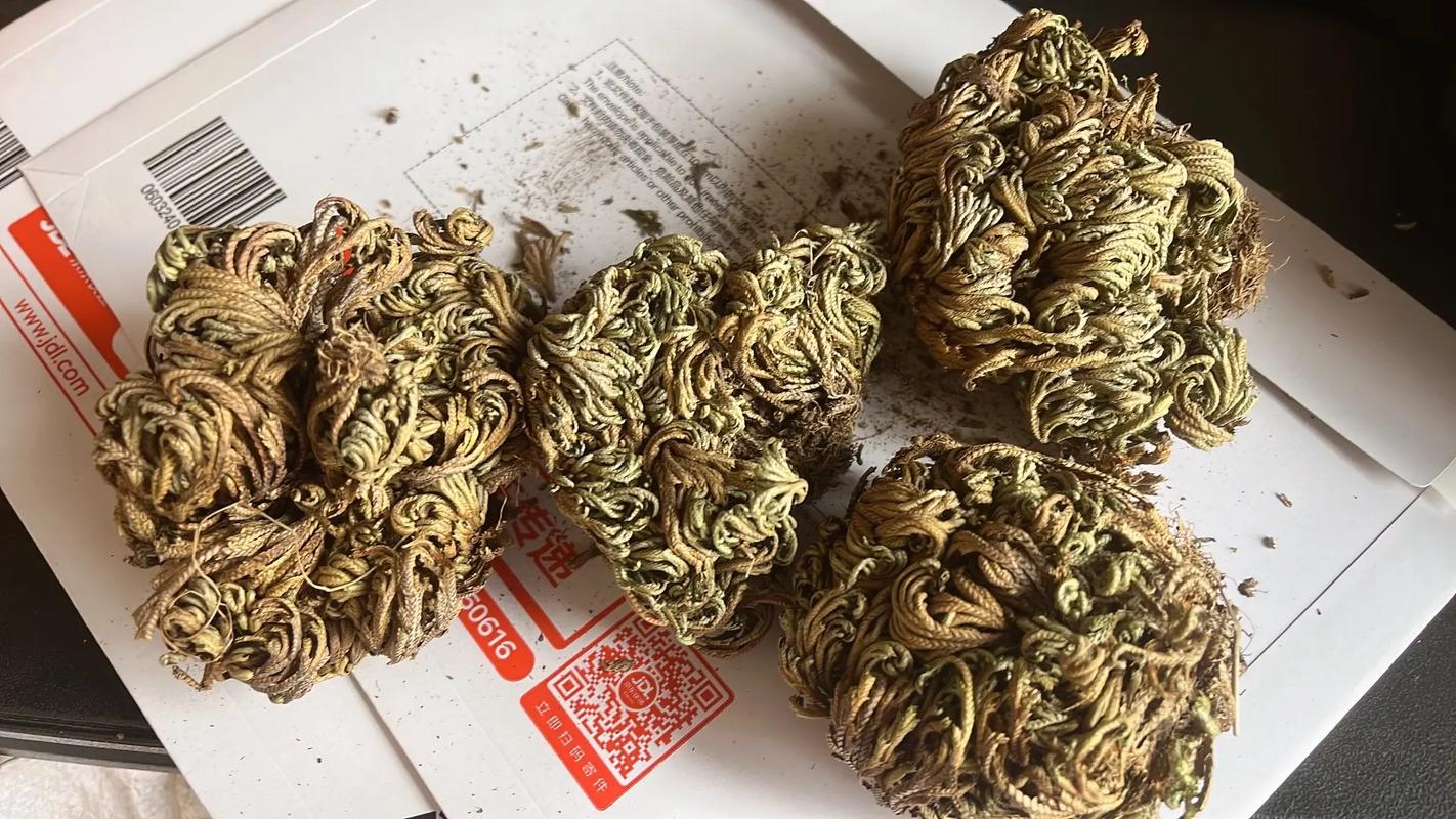 复活草多少钱一盆?2025年最新价格参考与影响因素分析 5. 运输成本:区域与物流方式