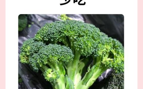 西兰花有什么营养？家庭种植与营养价值的全面解析