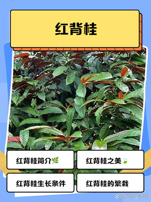 不同用户场景的采购建议