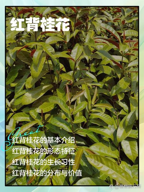 如何获取精准报价？