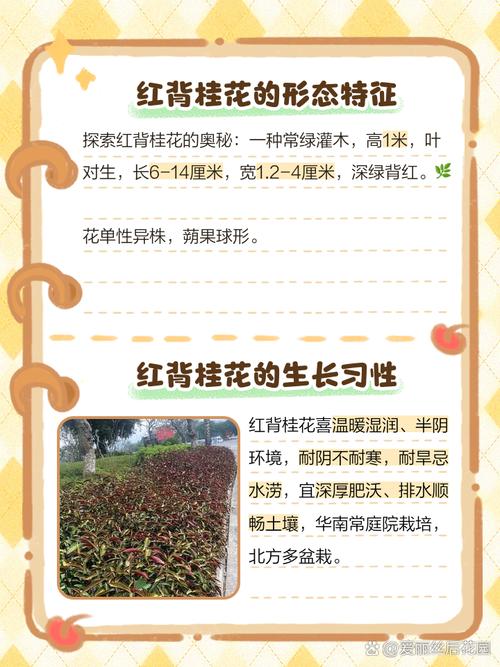 FAQ 常见问题
