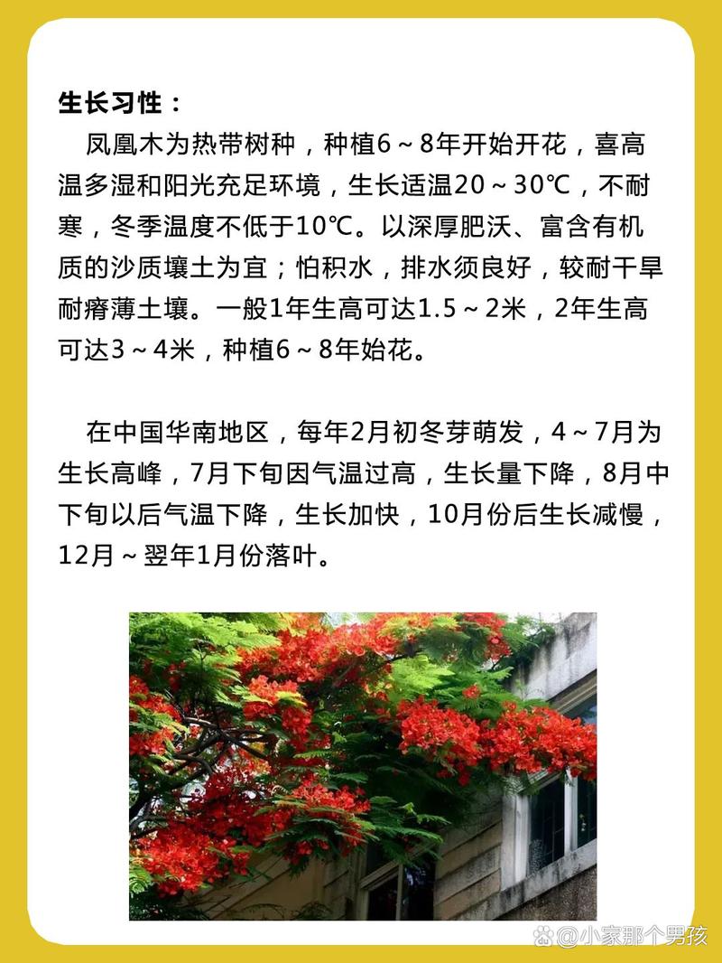 总结