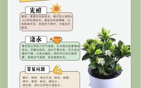 栀子花怎么养？掌握这6个养护要点，花开满枝头