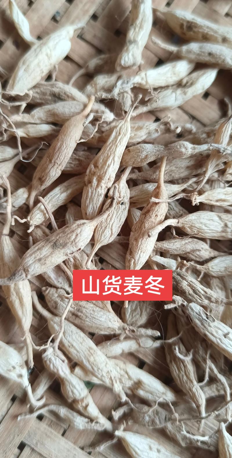 哪里有卖麦冬草?专业采购渠道指南与种植要点 一、明确采购需求——麦冬草常见规格与特性