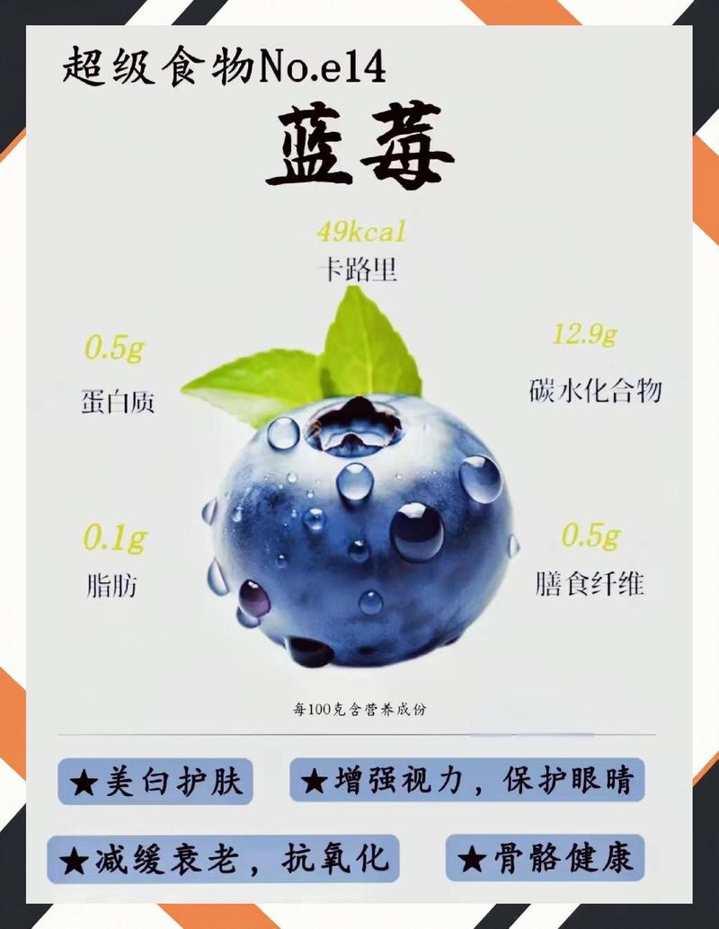 2026年蓝莓价格多少钱一斤?品种、产地、季节影响报价详解 2026年蓝莓价格多少钱一斤?品种、产地、季节影响报价详解
