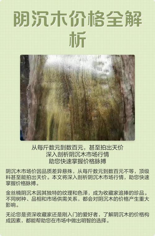 金丝楠阴沉木价格一般是多少?2025年市场价参考与影响因素分析 常见问题(FAQ)