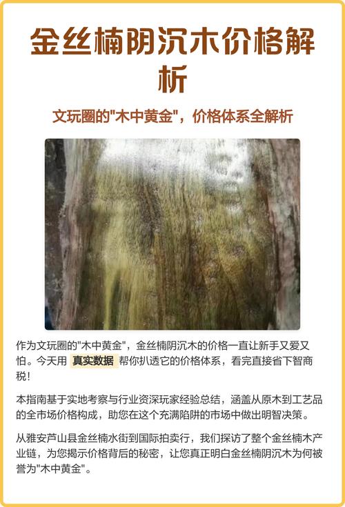 金丝楠阴沉木价格一般是多少?2025年市场价参考与影响因素分析 咨询指南
