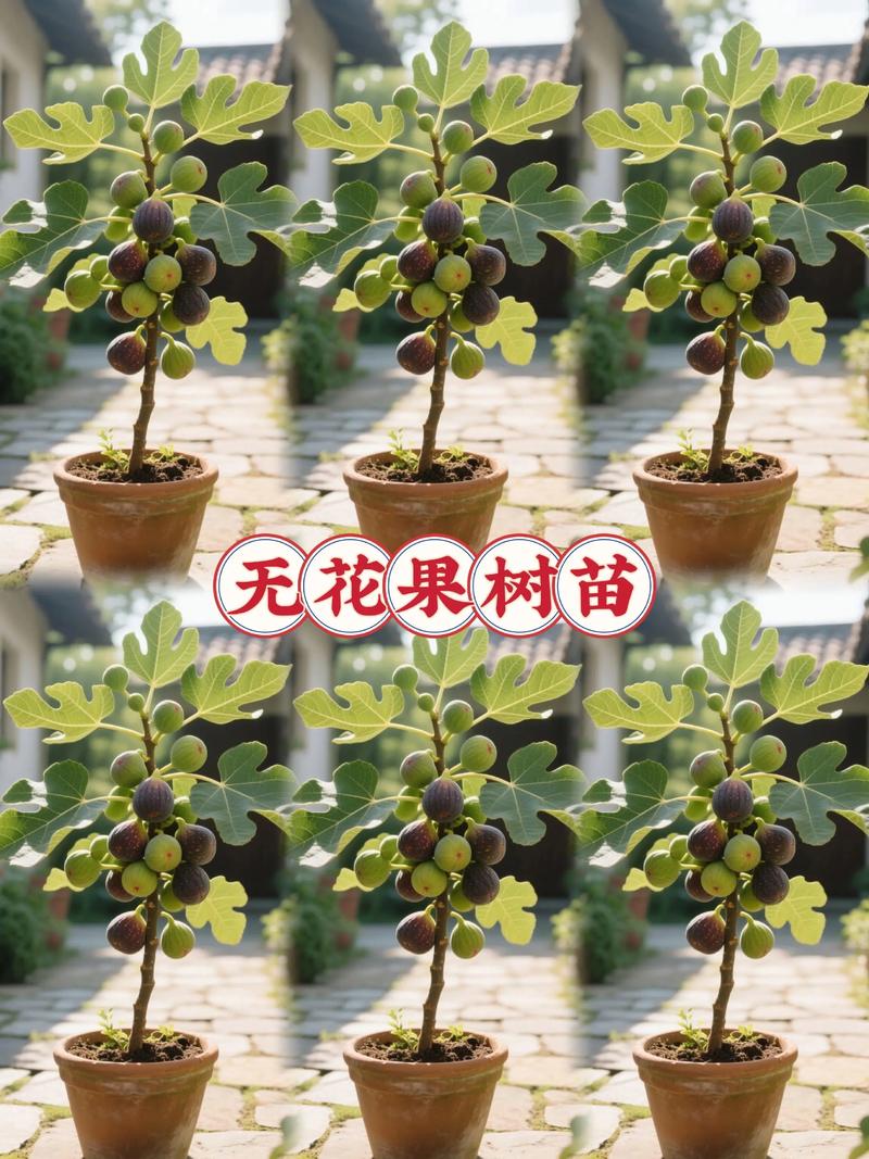 果树苗什么价格?2026年最新市场参考区间与选购指南 产地与品种:不同区域的价格差异