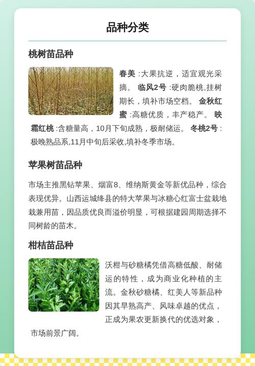 果树苗什么价格?2026年最新市场参考区间与选购指南 咨询指南:如何获取最精准的报价?