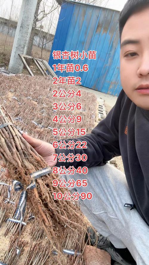 果树苗什么价格?2026年最新市场参考区间与选购指南 常见问题(FAQ)
