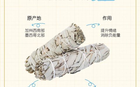 鼠尾草：玄学净化与药用价值的全解析及安全指南