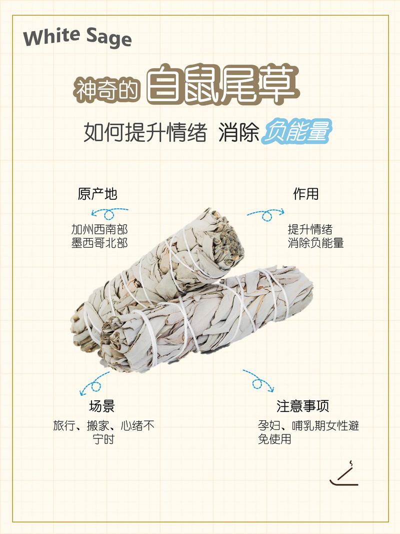鼠尾草:玄学净化与药用价值的全解析及安全指南 鼠尾草:玄学净化与药用价值的全解析及安全指南