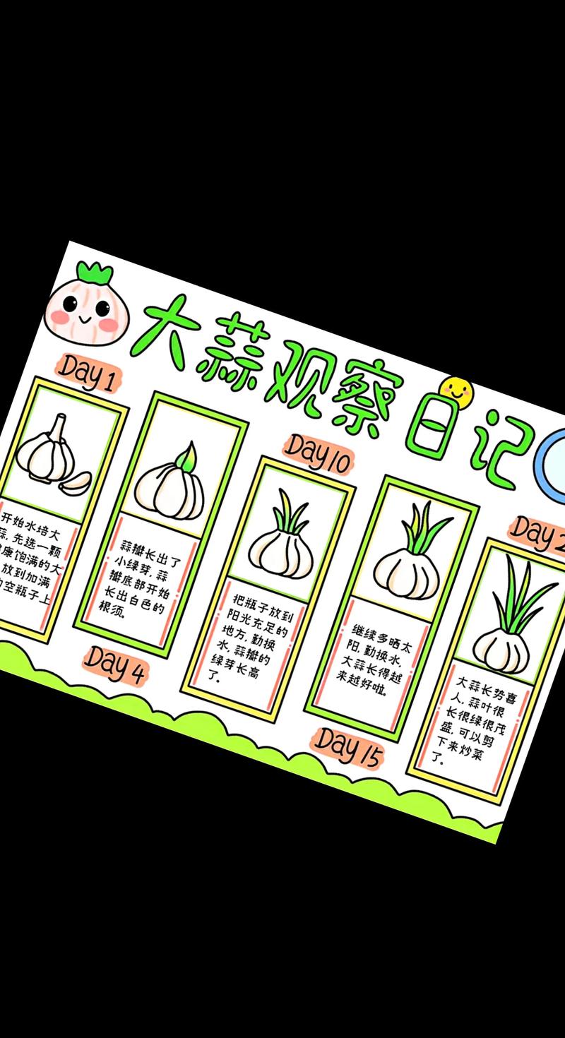 盆栽大蒜怎么种植?从选种到采收的完整技术指南 三、栽前处理