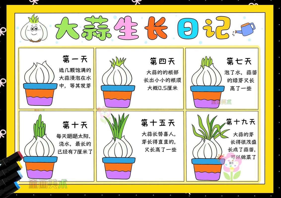 盆栽大蒜怎么种植?从选种到采收的完整技术指南 五、浇定根水