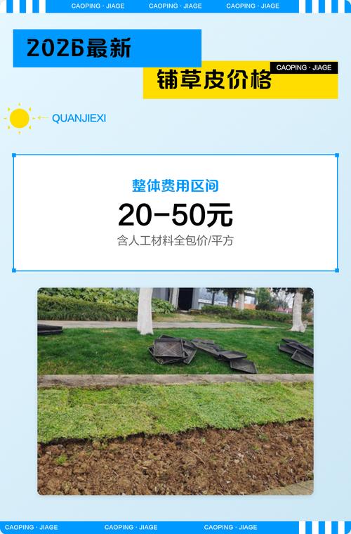 人造人工草坪价格是多少?2026年最新报价与影响因素全解析 常见问题 FAQ