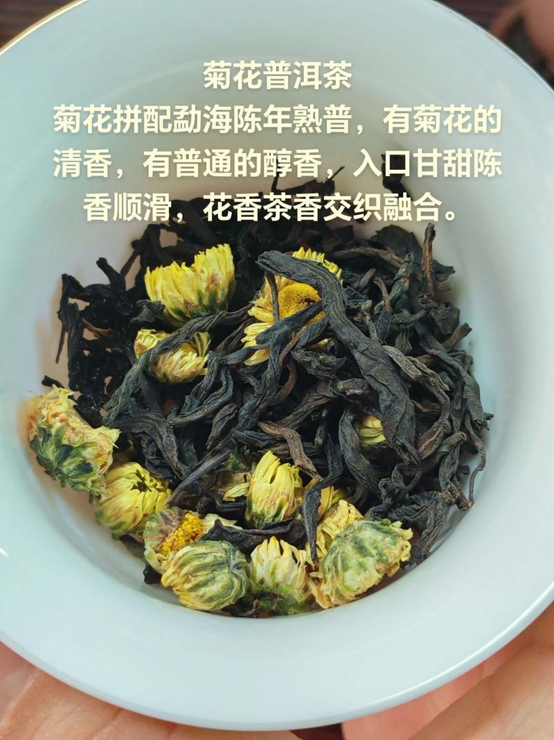 春季喝什么菊花茶最好?2026年最新品种推荐与选购指南 越冬与越夏管理