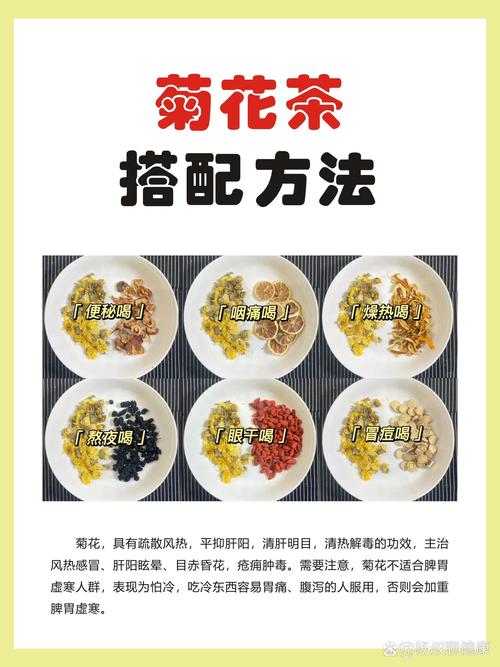 春季喝什么菊花茶最好?2026年最新品种推荐与选购指南 常见误区与纠正