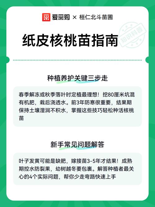 纸皮核桃苗哪里买?采购渠道核查与优质苗木选购指南 结果年限与产量:第3年挂果,第6年进入盛果期