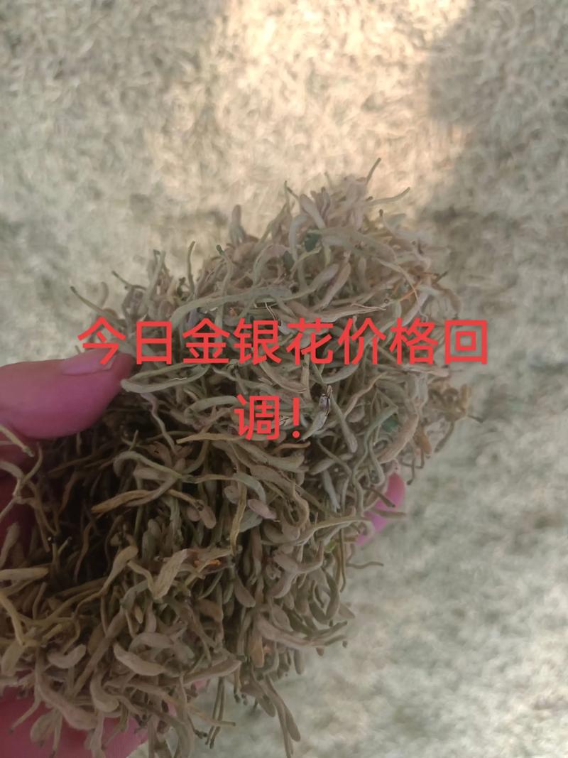 干金银花价格多少钱一斤?规格、产地、季节影响报价 采购数量影响