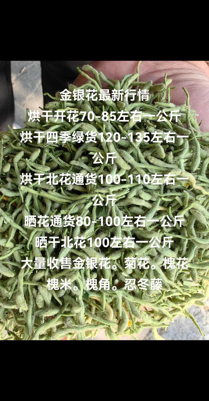 干金银花价格多少钱一斤?规格、产地、季节影响报价 常见规格与对应价格区间
