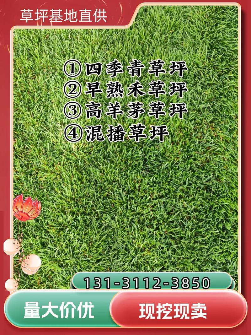大同买草坪去哪找?本地草皮采购渠道与质量核查全指南 总结