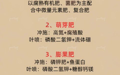 果树施肥最佳时间与技巧：抓住三个关键节点提升产量