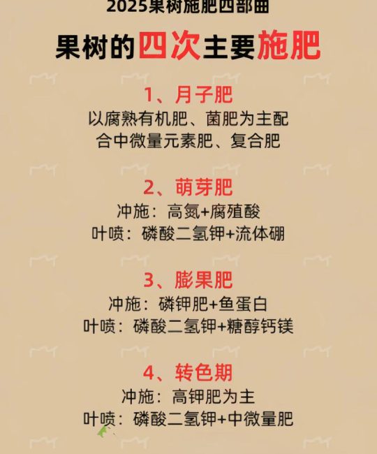 果树施肥最佳时间与技巧：抓住三个关键节点提升产量