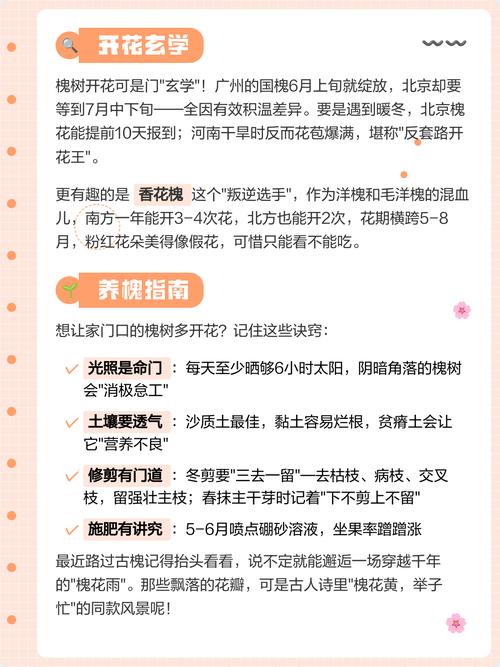 槐树什么季节开花?花期、果期与养护全解析 不开花常见原因与诊断
