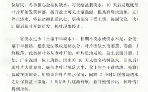 金桔树掉叶子什么原因？家庭盆栽掉叶的四大类原因与分步排查指南