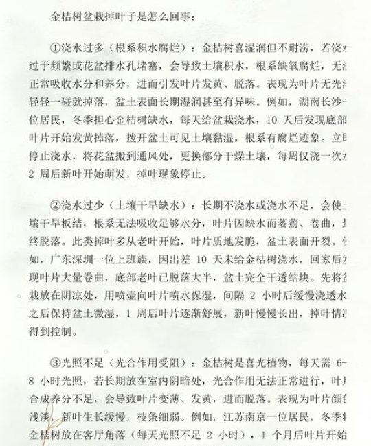 金桔树掉叶子什么原因？家庭盆栽掉叶的四大类原因与分步排查指南