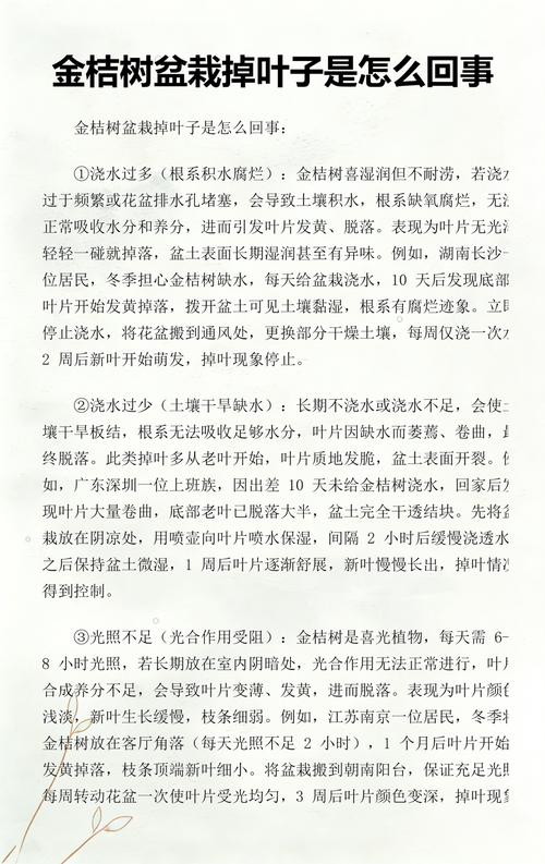 金桔树掉叶子什么原因？家庭盆栽掉叶的四大类原因与分步排查指南