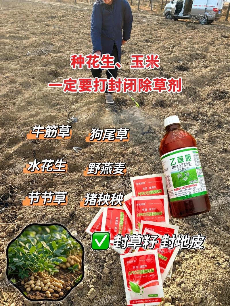 园艺必知:如何正确使用除草剂,安全高效除草全攻略 一、认识除草剂的类型