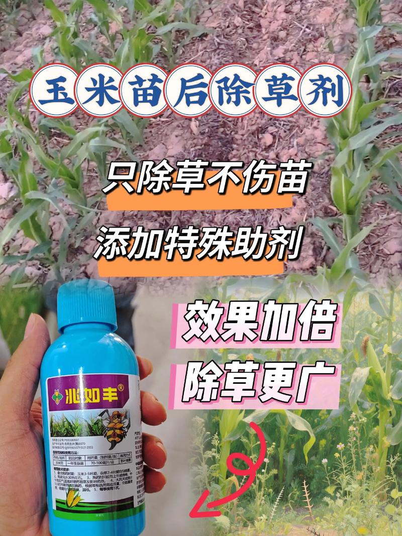 园艺必知:如何正确使用除草剂,安全高效除草全攻略 二、选对时机,事半功倍