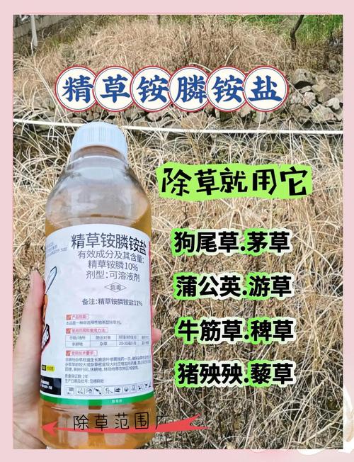 园艺必知:如何正确使用除草剂,安全高效除草全攻略 四、注意事项与安全防护