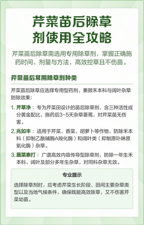 园艺必知:如何正确使用除草剂,安全高效除草全攻略 结语