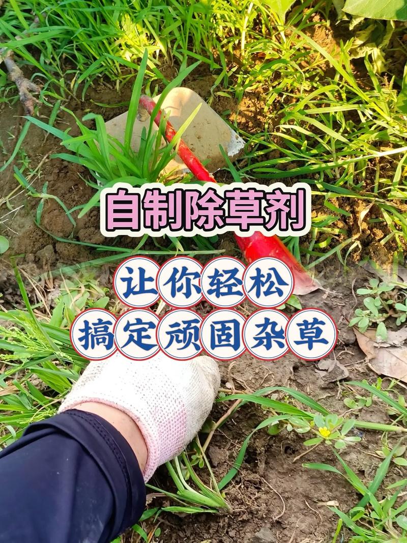 园艺必知:如何正确使用除草剂,安全高效除草全攻略 五、常见问题解答