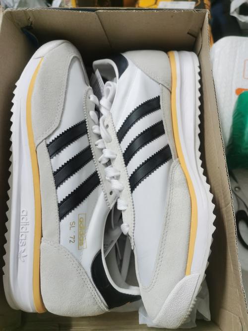 三叶草gy5987品种特性及科学种植养护指南 三叶草gy5987品种特性及科学种植养护指南