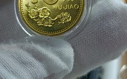 2001年的梅花五角值多少钱？——梅花盆景价格解析