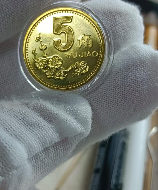 2001年的梅花五角值多少钱？——梅花盆景价格解析