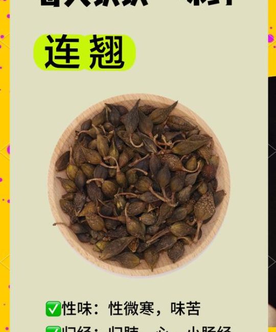 连翘是清哪里的火？中医专家详解连翘的功效与适用场景