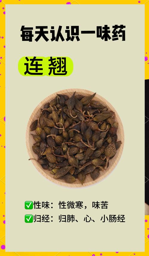 连翘是清哪里的火?中医专家详解连翘的功效与适用场景 连翘是清哪里的火?中医专家详解连翘的功效与适用场景