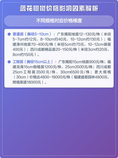 蓝花楹价格参考:规格、产地、季节与运输成本全解析 蓝花楹价格影响因素汇总表