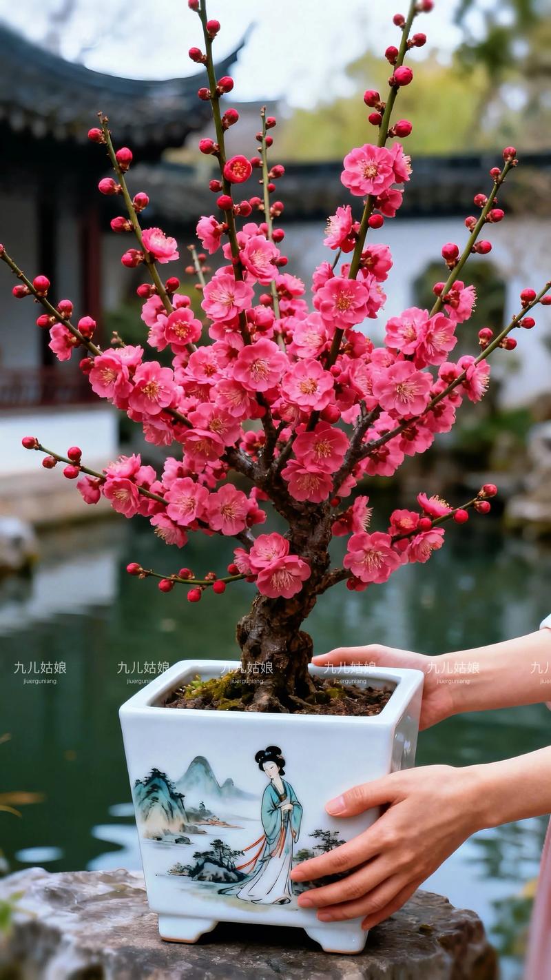 冬日繁花指南:除了梅花,这些植物也在寒冬绽放——附精准栽培数据 南北方种植差异化建议