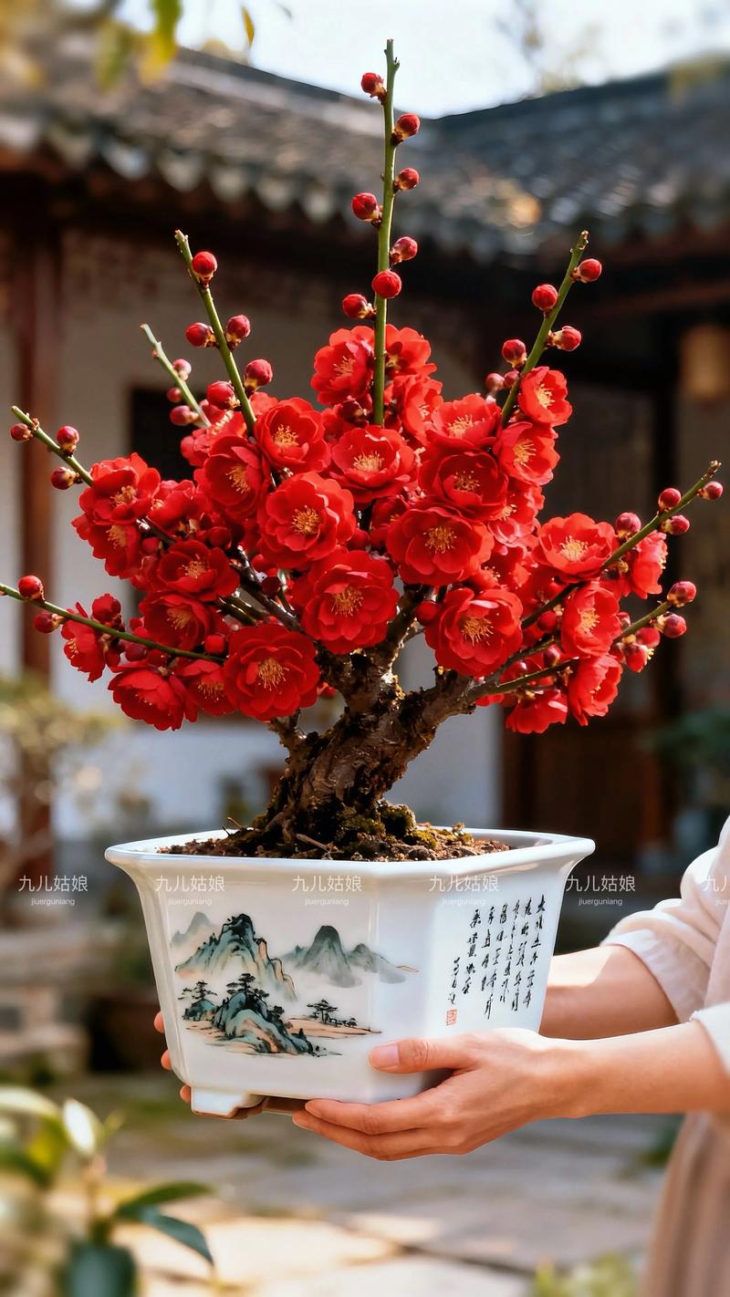 冬日繁花指南:除了梅花,这些植物也在寒冬绽放——附精准栽培数据 总结