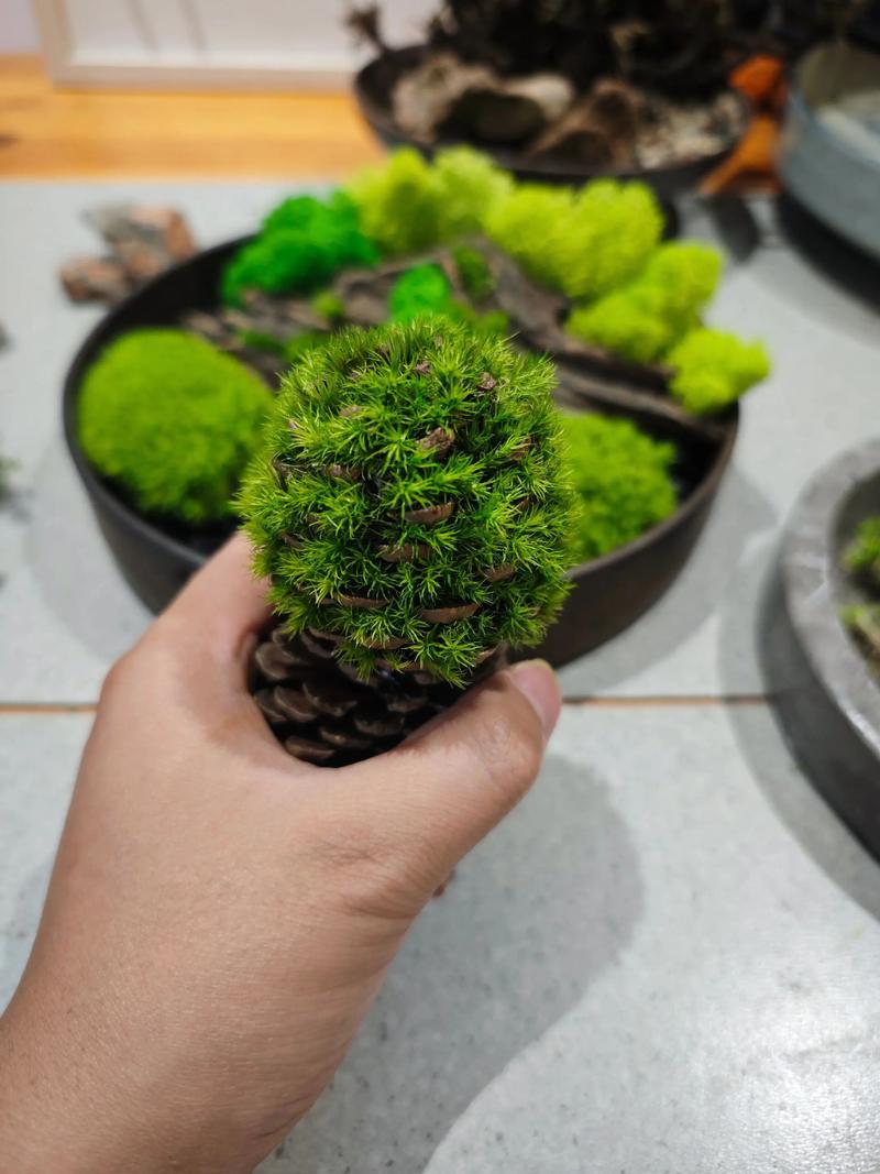 花盆上面铺苔藓好不好?优缺点全解析 五、结论